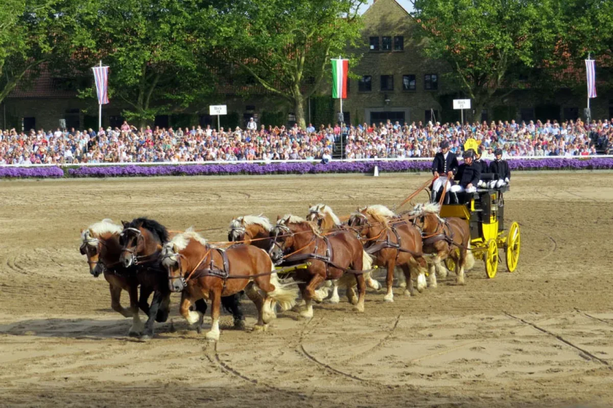 Förderverein in Warendorf 2014
